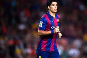 科维托娃意外战胜雄鹿，锐不可当引爆全场！比赛高潮迭起-多米体育